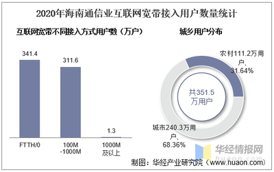 2020年海南通信业电信用户、电信业务及电信资产统计分析