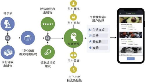 吃饱吃好吃健康 科学 新书 食品精准营养