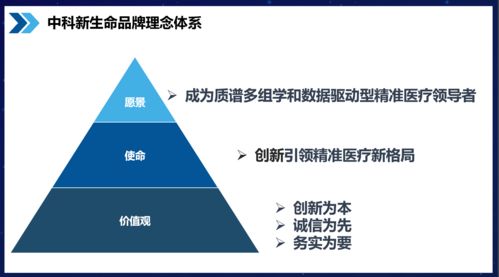 知名品牌咨询公司行舟品牌服务模块解析 品牌核心理念介绍