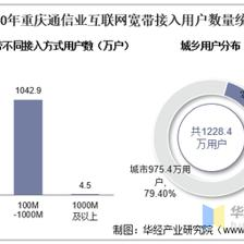 2020年重庆通信业电信用户、电信业务及电信资产统计分析