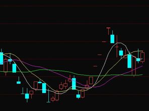 高升控股主力资金疯狂加仓,互联网接入及相关服务本周走势或已成定局